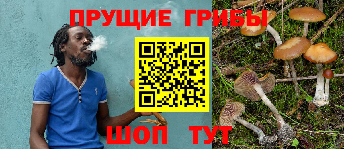 Ртищево  купить наркоту  Вход с VPN  Галлюциногенные грибы ЛСД 